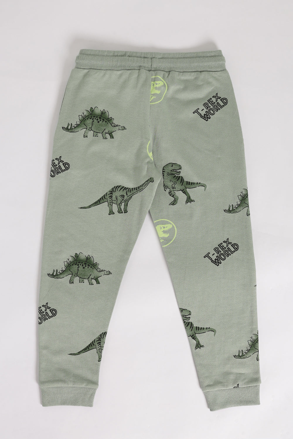 Green Dinosaur Printed Regular Fit Jogger With 2 Pocket For Boys - Image 3