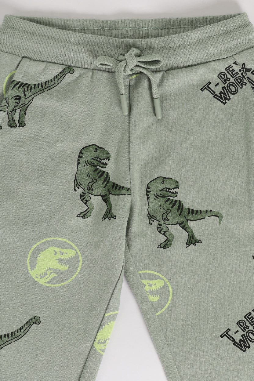 Green Dinosaur Printed Regular Fit Jogger With 2 Pocket For Boys - Image 4