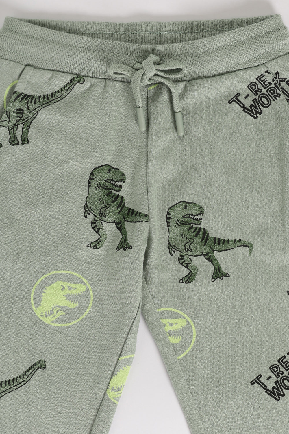 Green Dinosaur Printed Regular Fit Jogger With 2 Pocket For Boys - Image 4