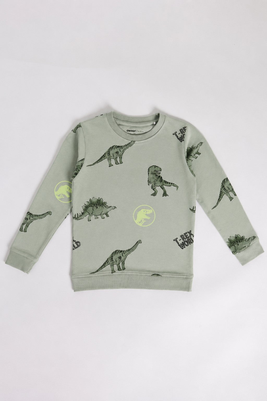Green Dinosaur Printed Regular Fit Sweatshirt For Boys - Image 2