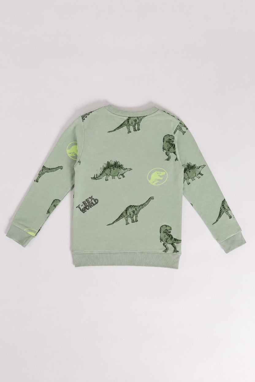 Green Dinosaur Printed Regular Fit Sweatshirt For Boys - Image 3