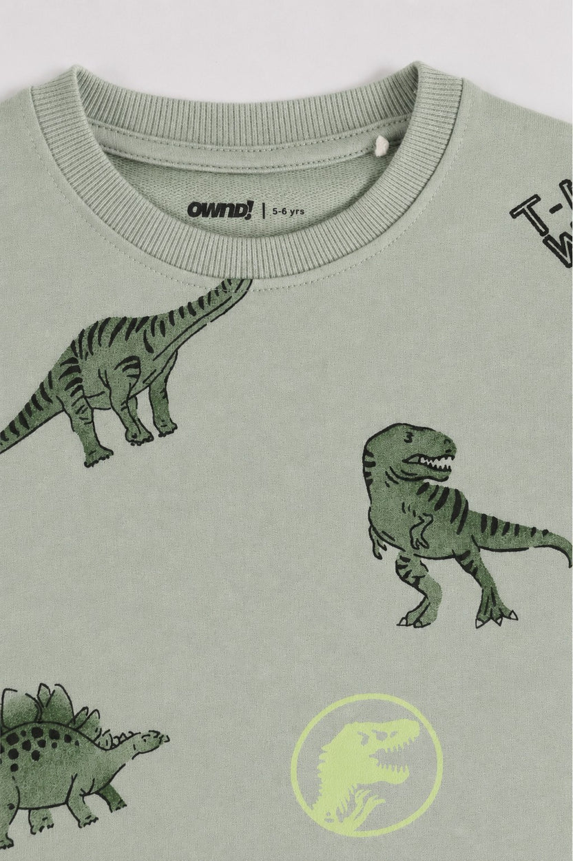 Green Dinosaur Printed Regular Fit Sweatshirt For Boys - Image 4