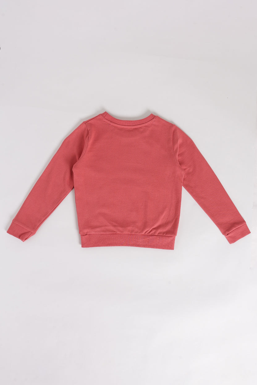 Relaxed Fit Print Rust Sweatshirt For Girls - Image 3