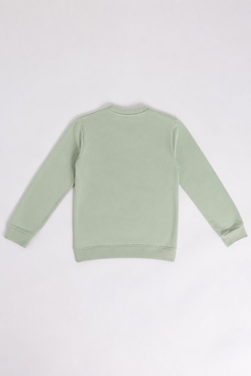 Green Graphic Regular Fit Sweatshirt For Tweens Boys - Image 3