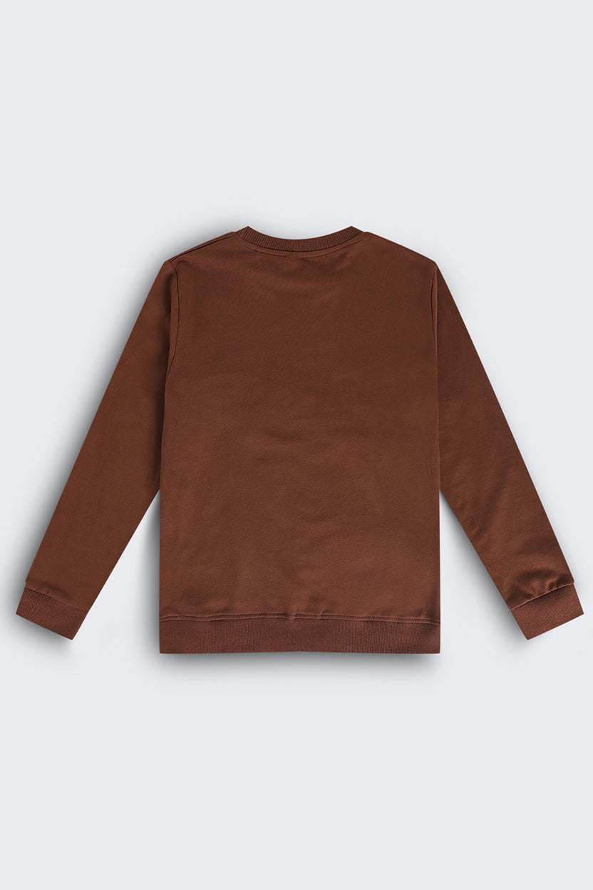 Tweens Boys Brown Graphic Regular Fit Sweatshirt - Image 3