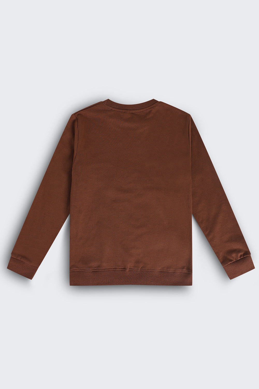 Tweens Boys Brown Graphic Regular Fit Sweatshirt - Image 3