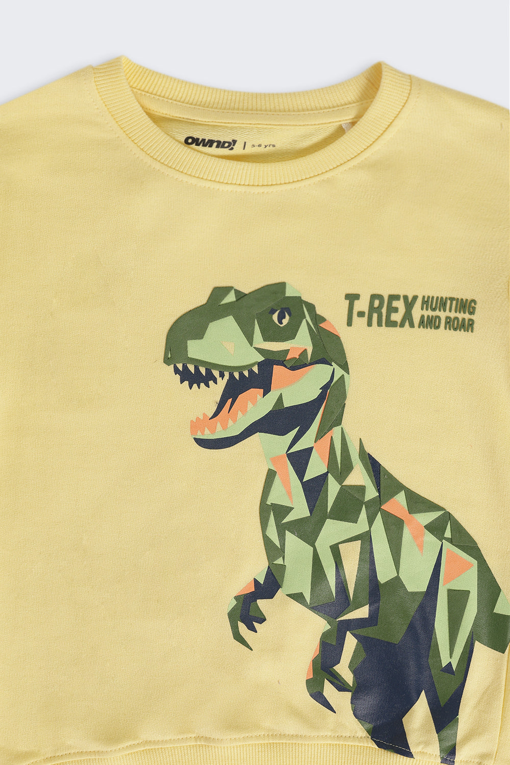 Yellow Dinosaur Print Regular Fit Sweatshirt For Boys - Image 5
