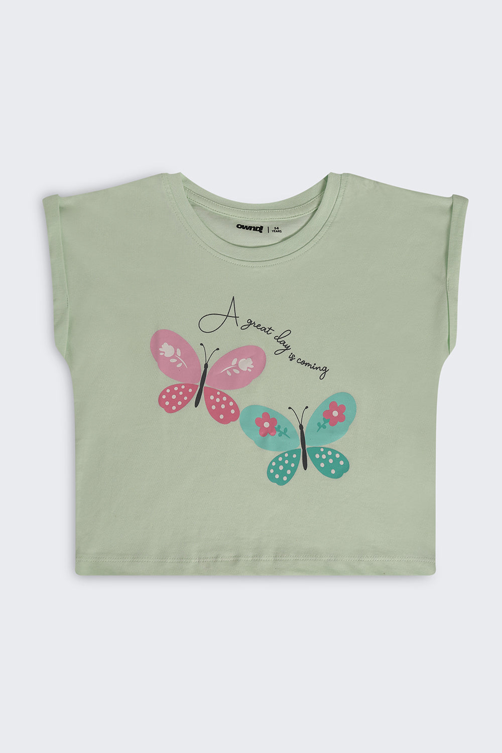 Light Green Butterfly Graphic Boxy Fit T-Shirt For Girls - Image 2