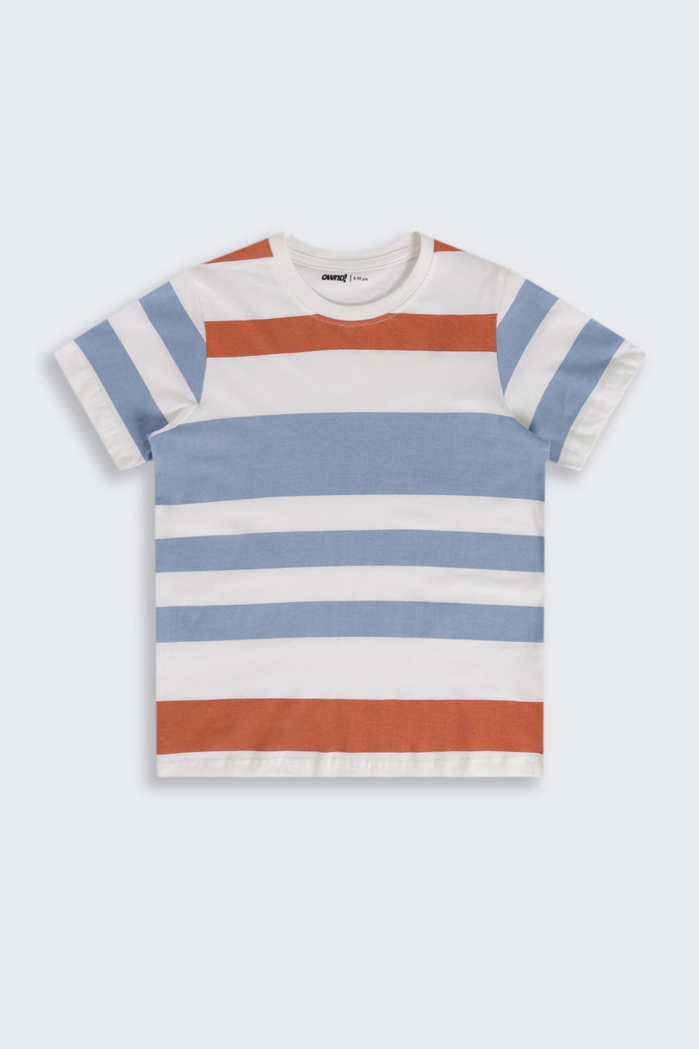 Multi Coloured Stripes Regular Fit T-Shirt For Tweens Boys - Image 2