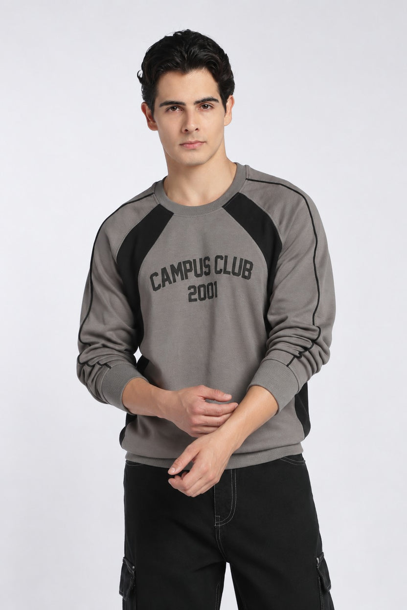 Grey Raglan Sleeves Regular Fit Sweatshirt For Men - Image 2