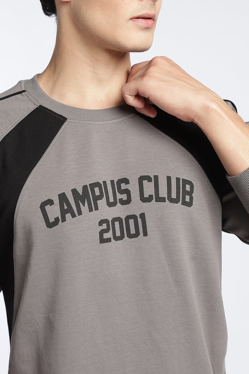 Grey Raglan Sleeves Regular Fit Sweatshirt For Men - Image 3