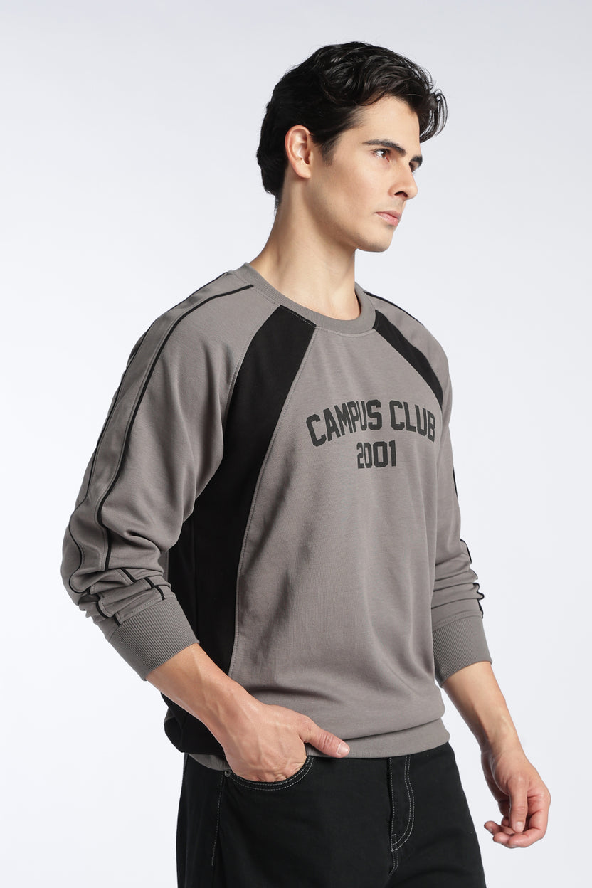Grey Raglan Sleeves Regular Fit Sweatshirt For Men - Image 4