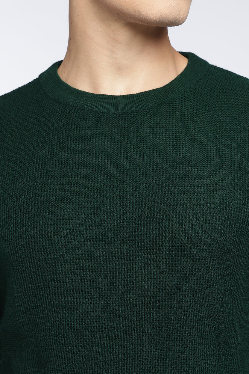 Dark Green Textured Regular Fit Sweater For Men - Image 3