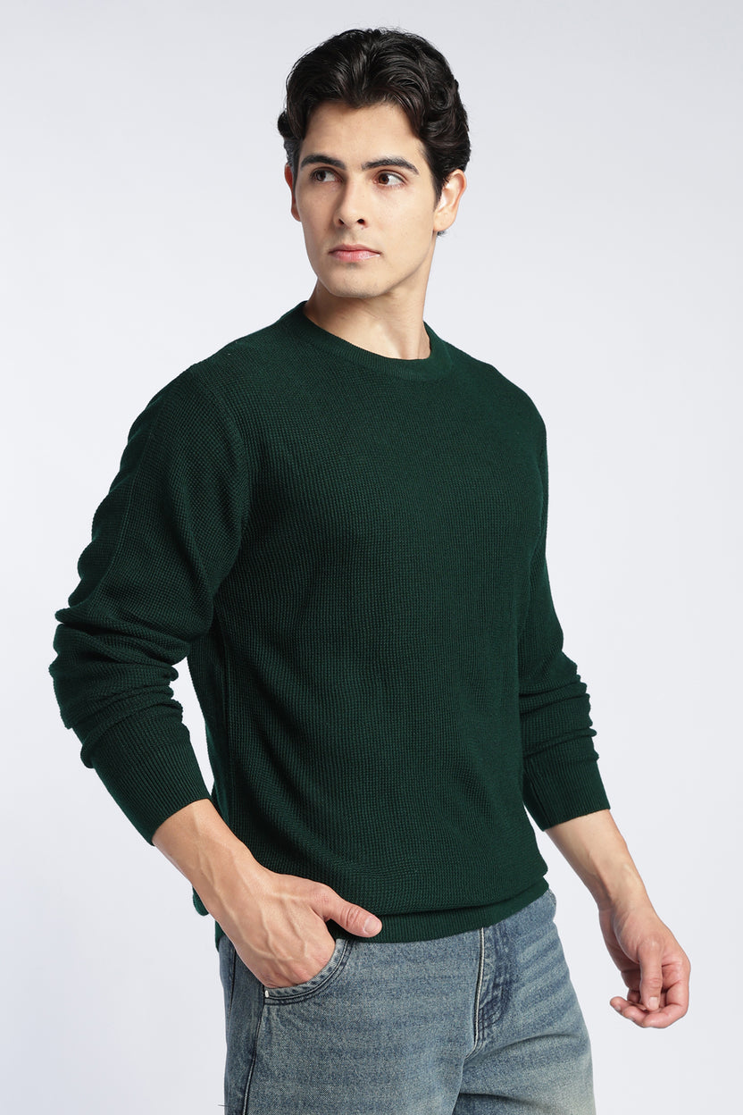 Dark Green Textured Regular Fit Sweater For Men - Image 4