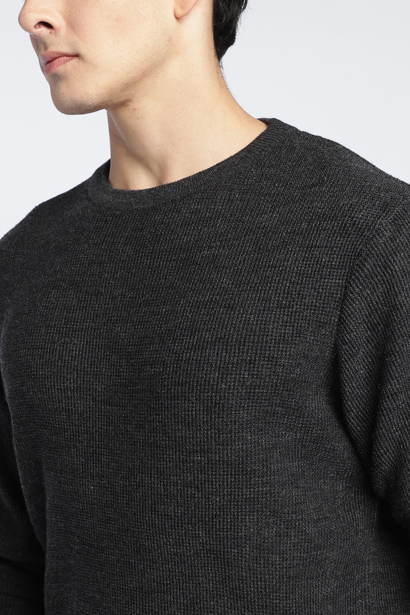 Charcoal Textured Regular Fit Sweater For Men - Image 3