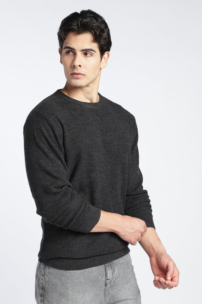 Charcoal Textured Regular Fit Sweater For Men - Image 4