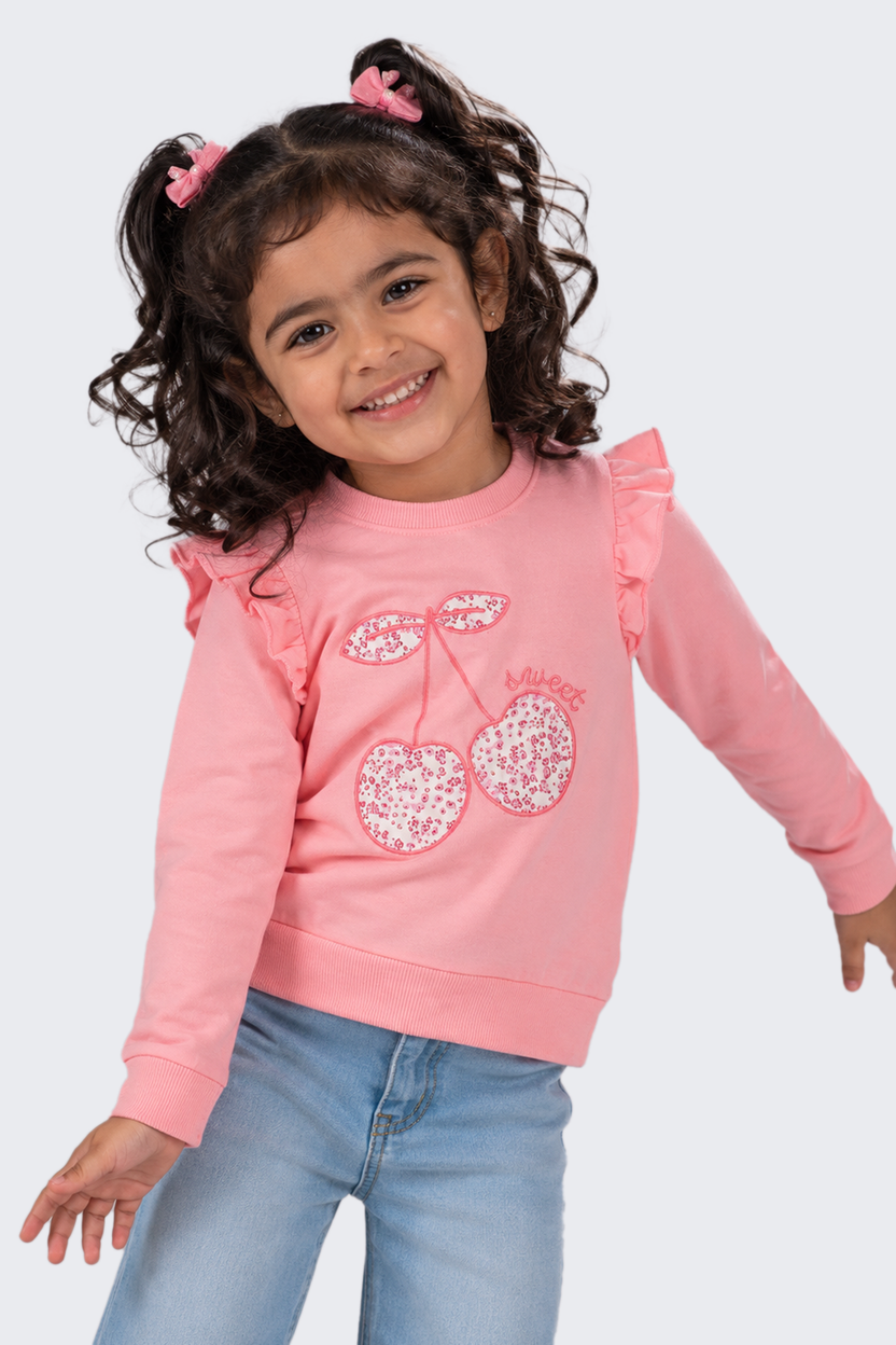 Girls Regular Fit Pink Embroidered Sweatshirt - Image 1