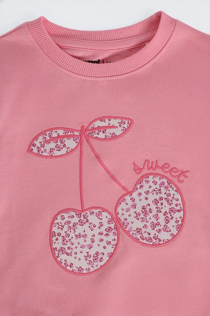 Girls Regular Fit Pink Embroidered Sweatshirt - Image 5
