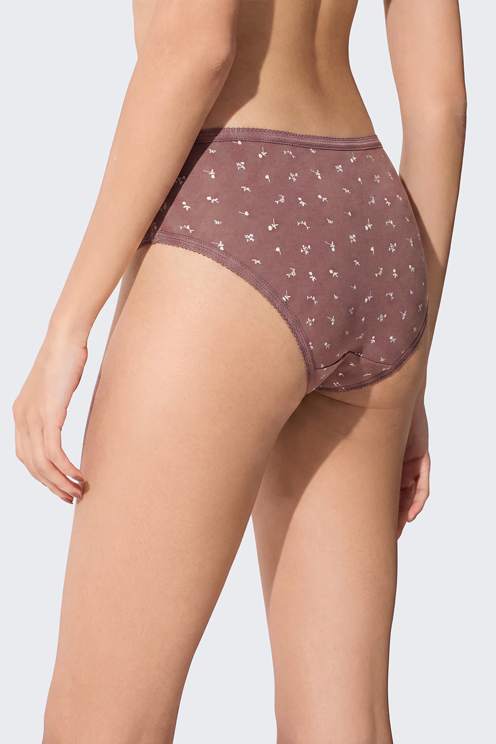 Womens Brown Assorted Prints Pack of 3 Panties - Image 4