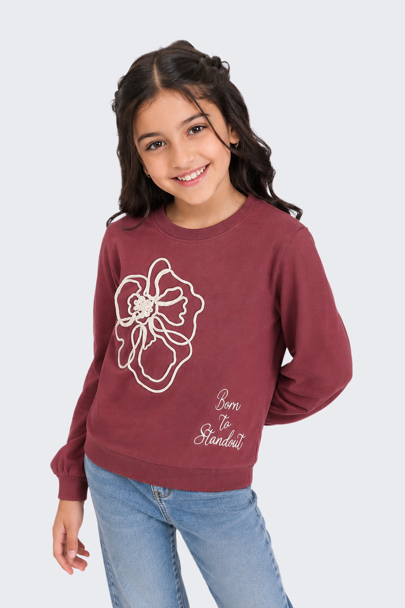 Tweens Girls Relaxed Fit Mauve Graphic Printed Sweatshirt - Image 1