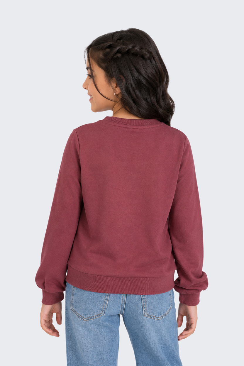 Tweens Girls Relaxed Fit Mauve Graphic Printed Sweatshirt - Image 3