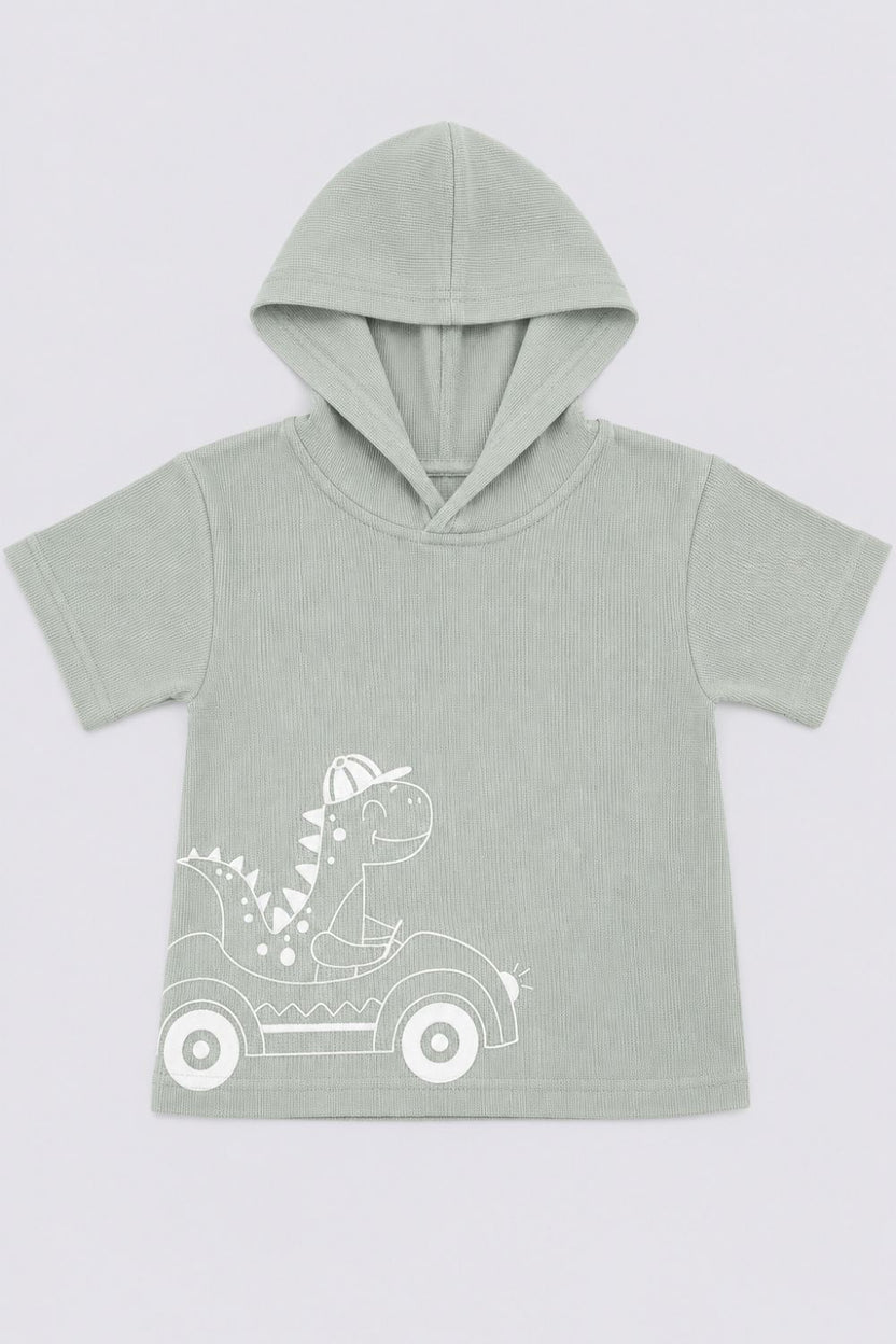 Infant Boys Green Dinosaur Embroidered Co-ord Sets - Image 4