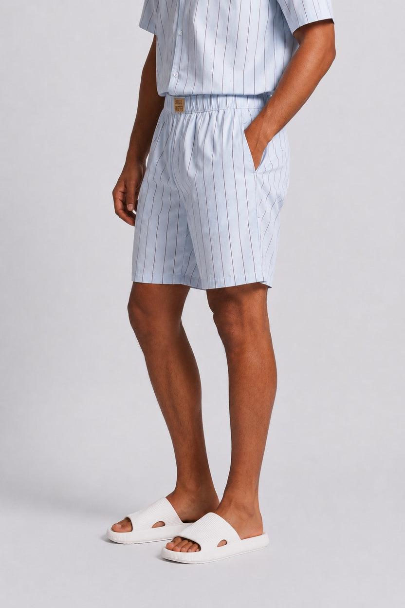 Mens Regular Fit Light Blue Striped Shorts - Image 4