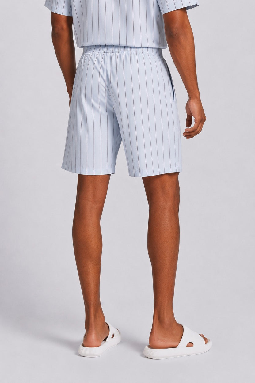 Mens Regular Fit Light Blue Striped Shorts - Image 5