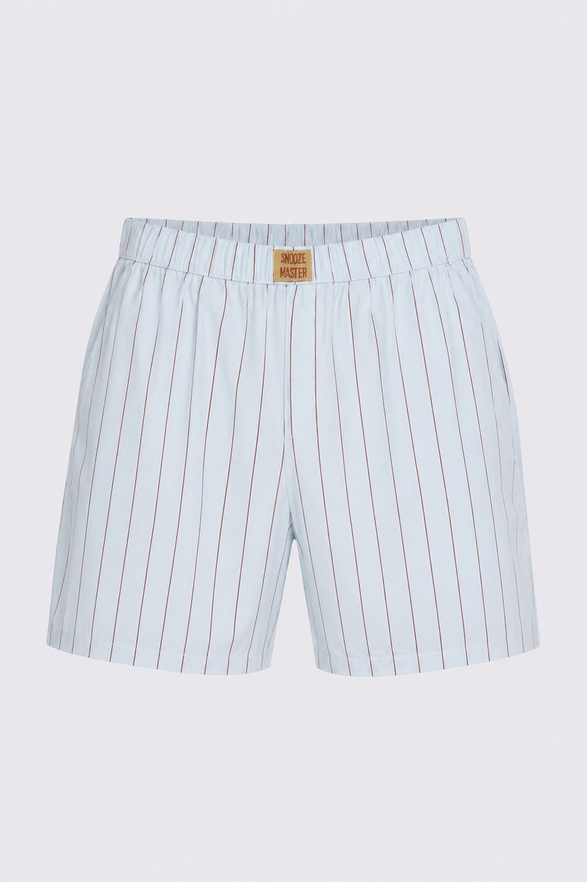 Mens Regular Fit Light Blue Striped Shorts - Image 7