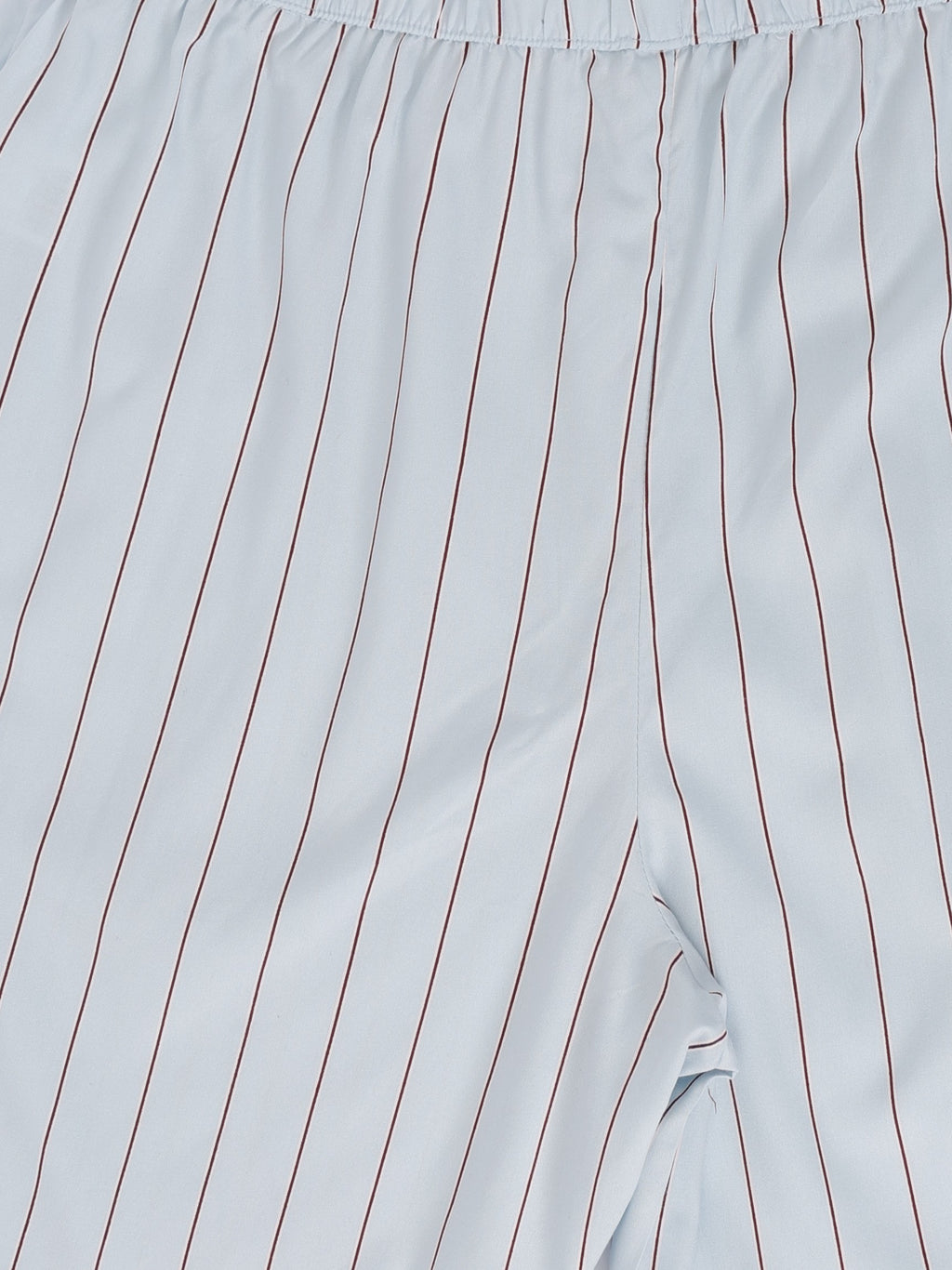 Mens Regular Fit Light Blue Striped Shorts - Image 8
