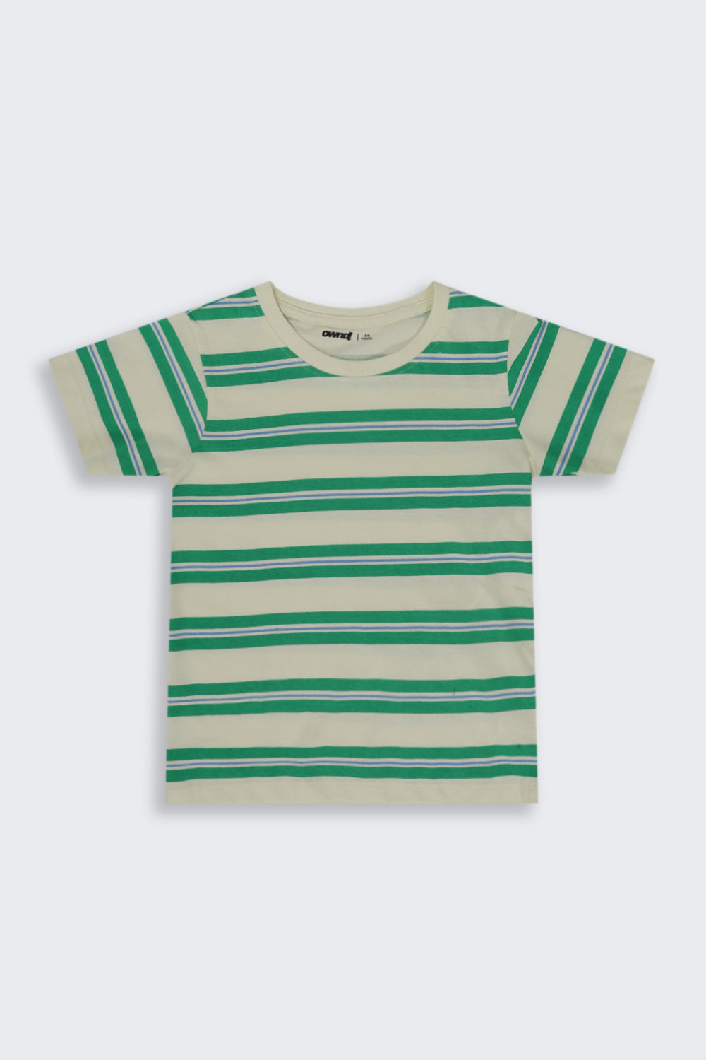 Boys Regular Fit Green Striped T-Shirt - Image 2