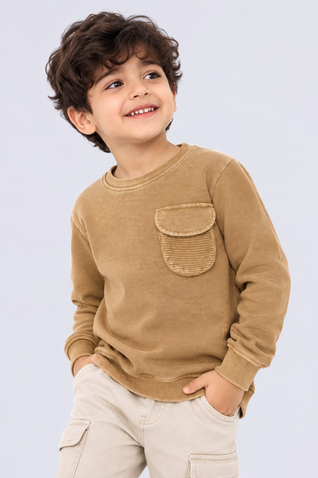 Boys Regular Fit Tan Solid Sweatshirt - Image 1