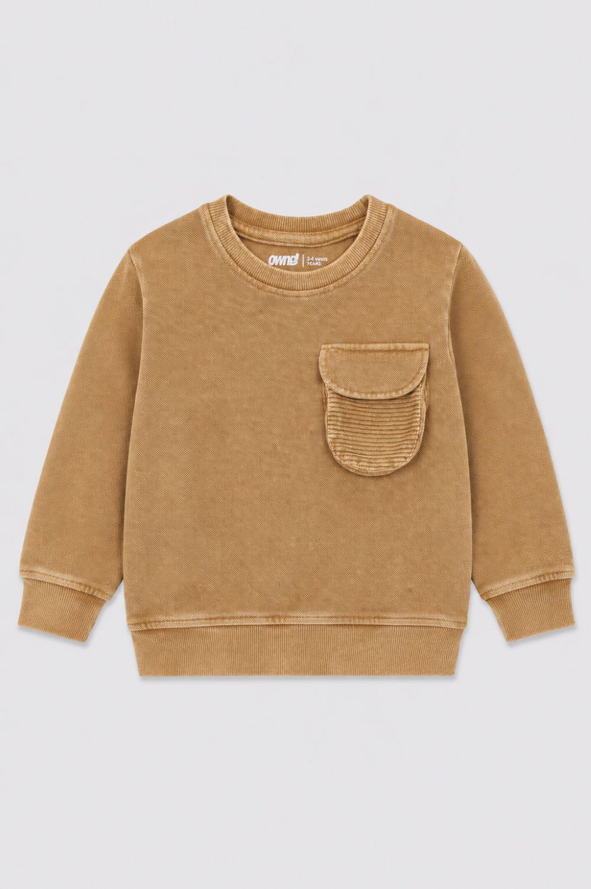 Boys Regular Fit Tan Solid Sweatshirt - Image 2