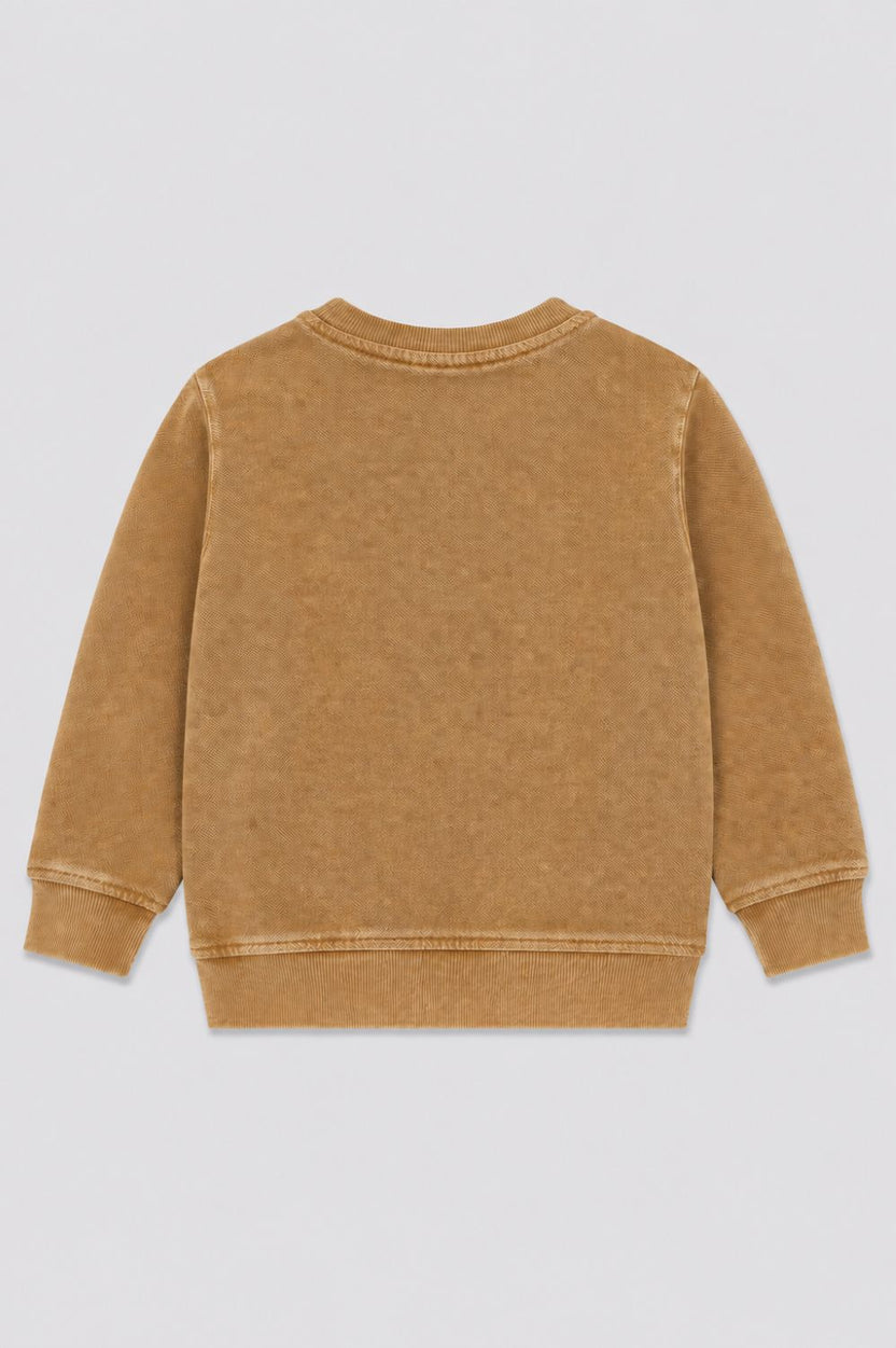 Boys Regular Fit Tan Solid Sweatshirt - Image 3