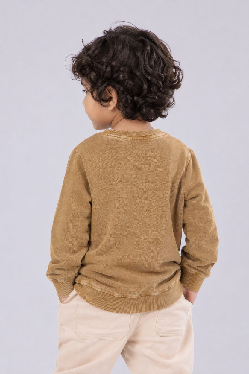 Boys Regular Fit Tan Solid Sweatshirt - Image 4
