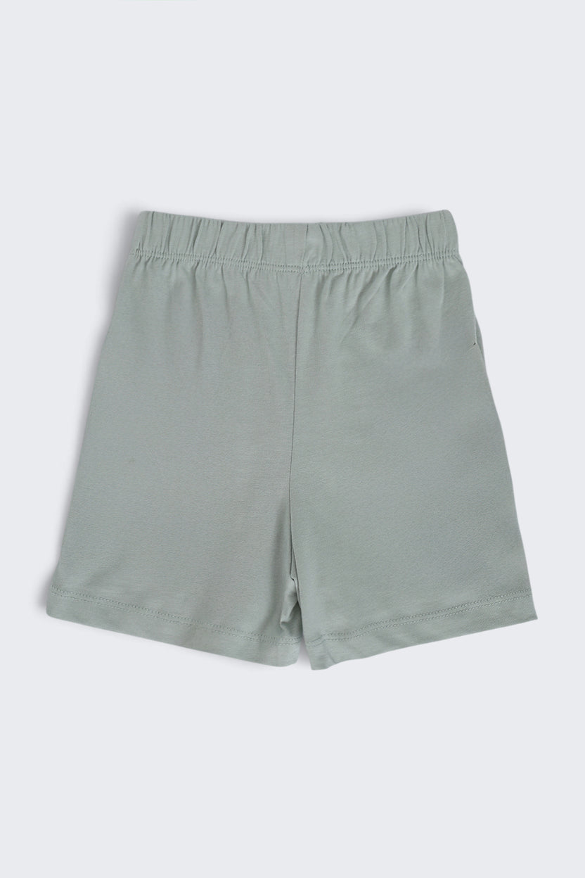 Infant Boys Regular Fit Green Dino Graphic Shorts - Pack of 2 - Image 3
