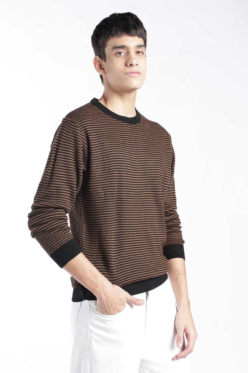 Mens Regular Fit Brown Striped Knit Sweater - Image 4