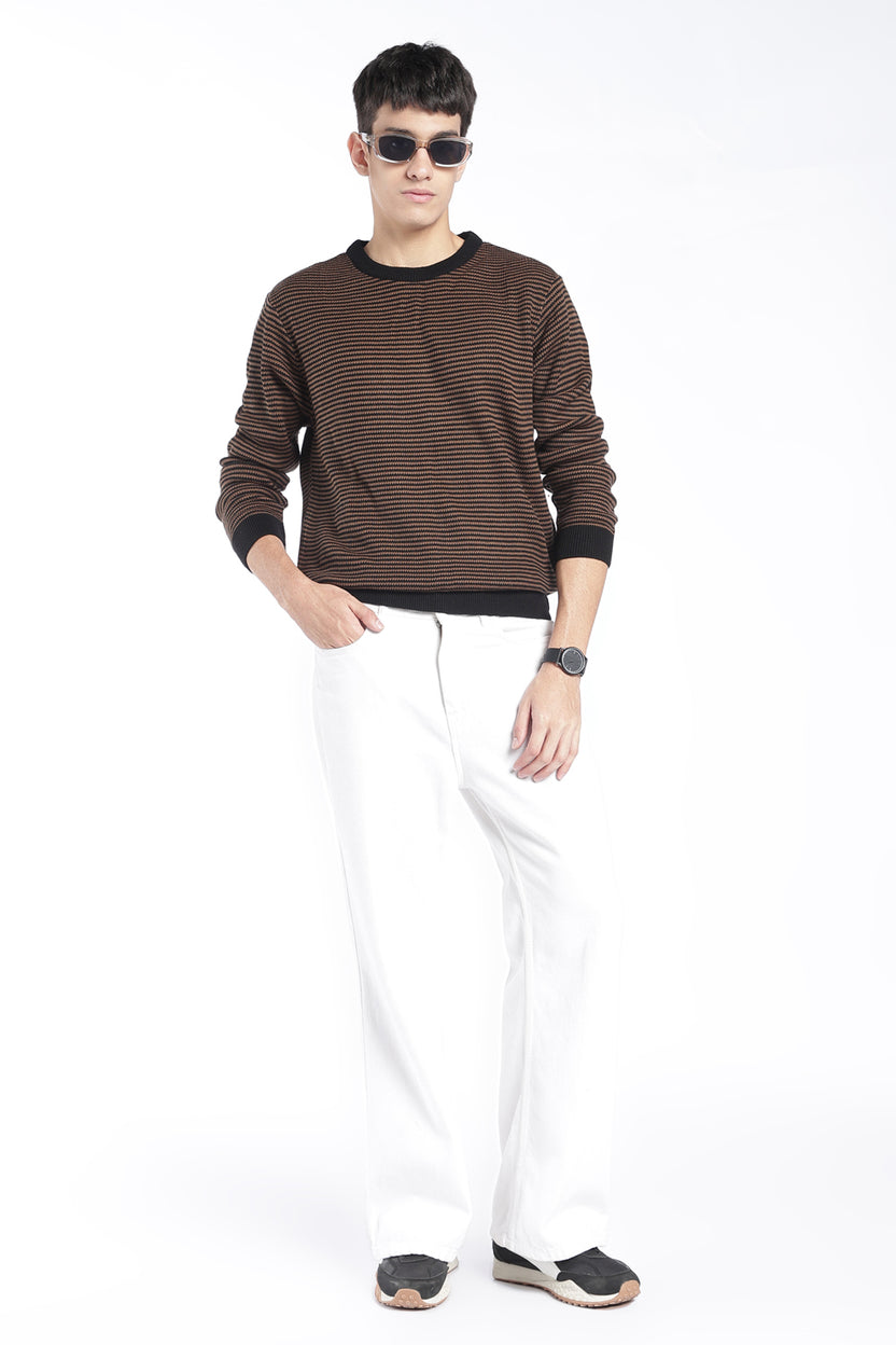 Mens Regular Fit Brown Striped Knit Sweater - Image 6