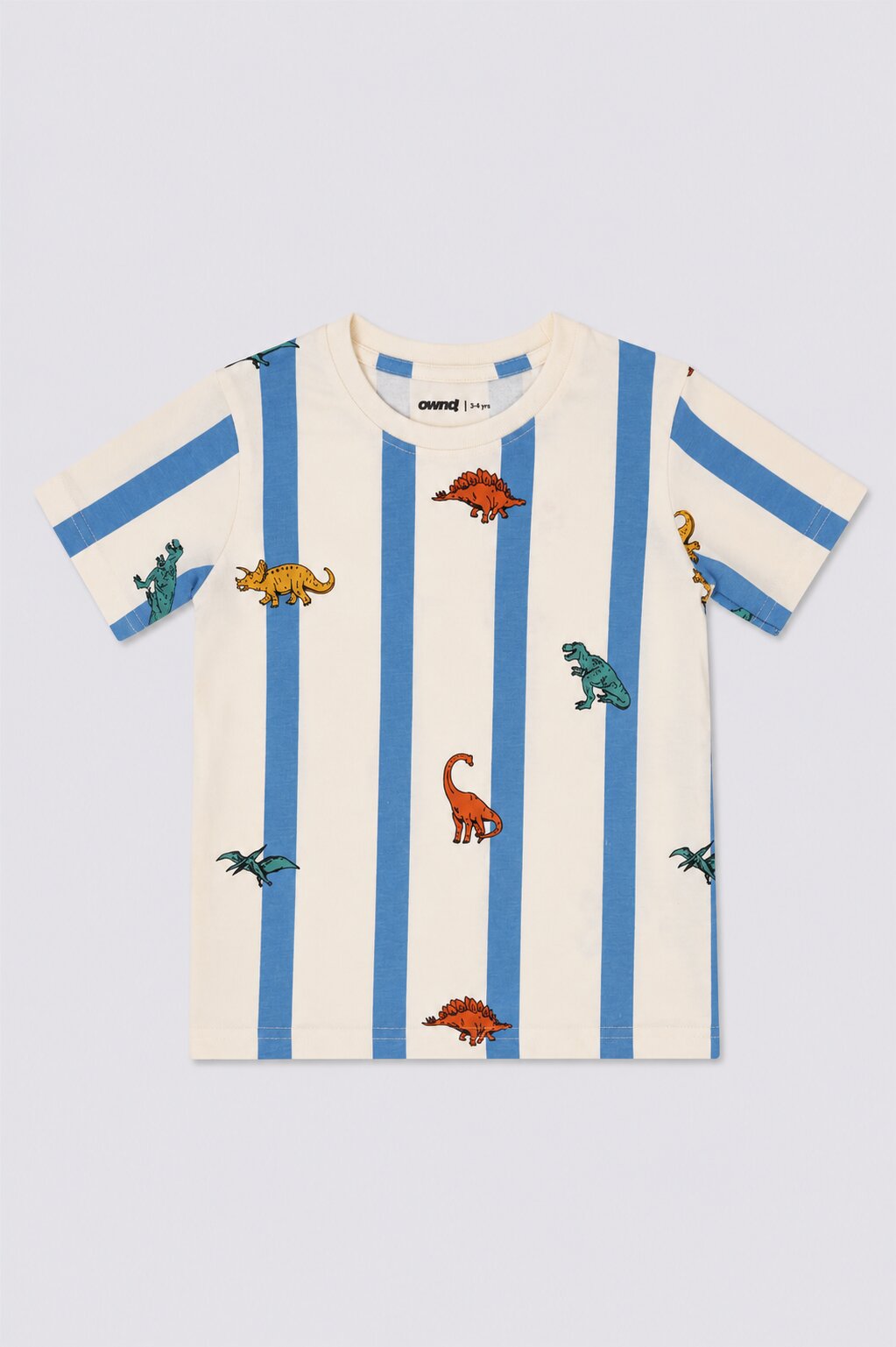Boys Blue and white Dinosaur Striped Print T-Shirt - Image 2