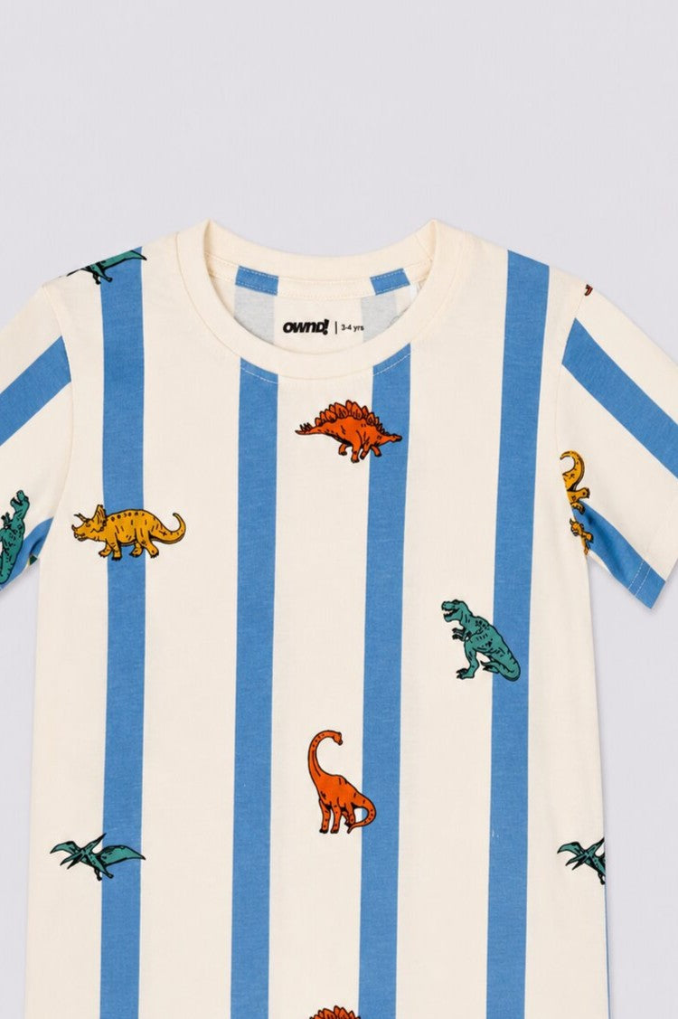 Boys Blue and white Dinosaur Striped Print T-Shirt - Image 6