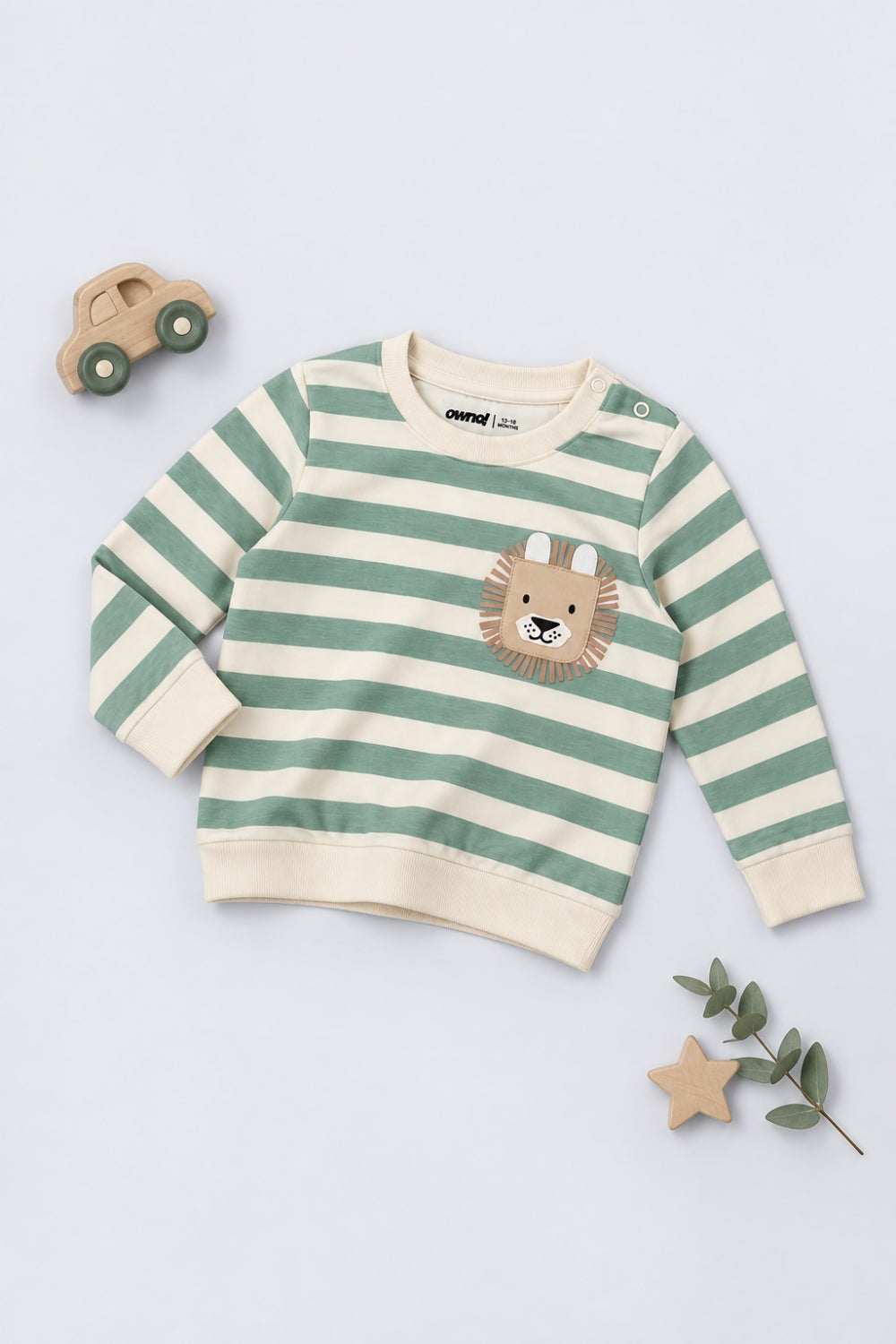 Infant Boys Green Cotton Regular Fit Sweatshirt - Image 1