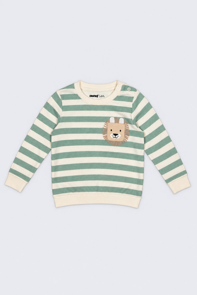 Infant Boys Green Cotton Regular Fit Sweatshirt - Image 2