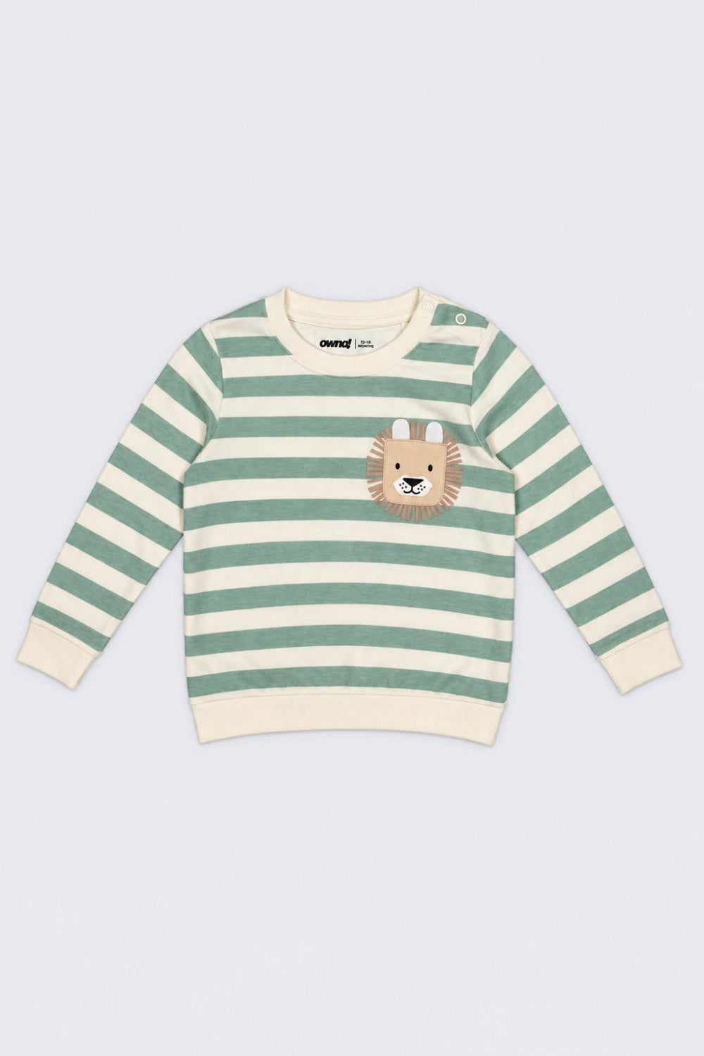 Infant Boys Green Cotton Regular Fit Sweatshirt - Image 2
