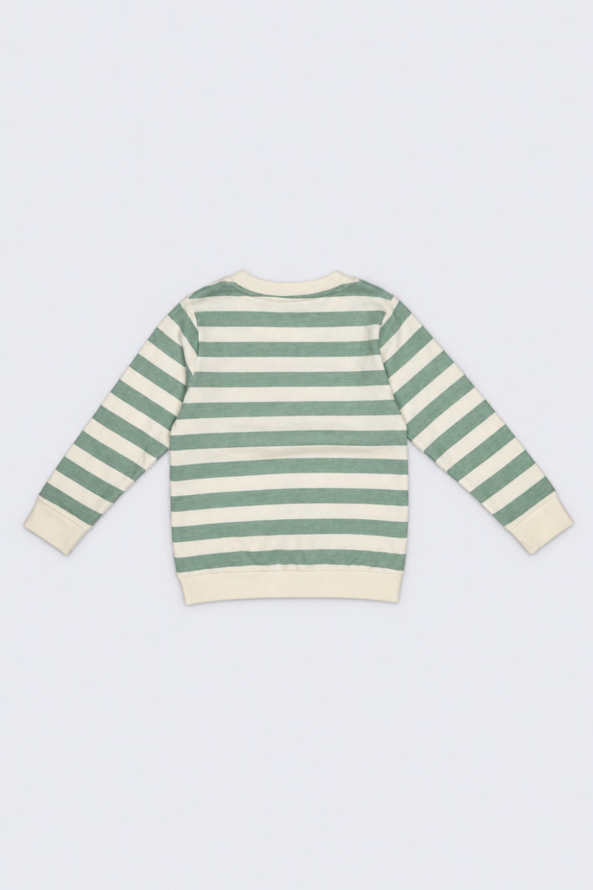 Infant Boys Green Cotton Regular Fit Sweatshirt - Image 3