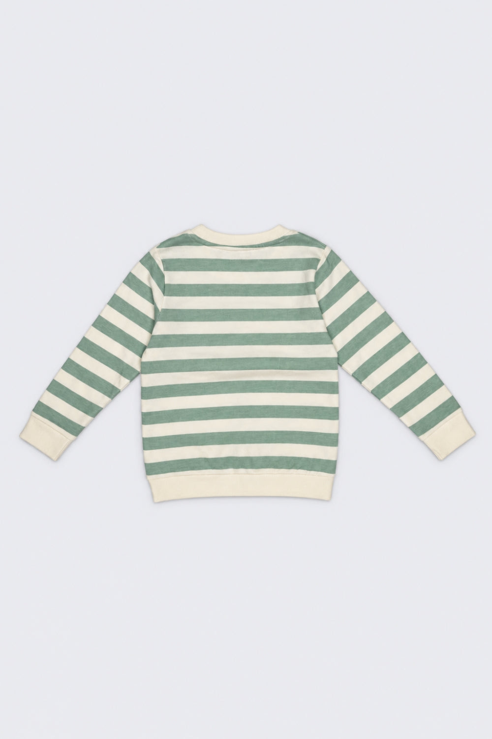 Infant Boys Green Cotton Regular Fit Sweatshirt - Image 3