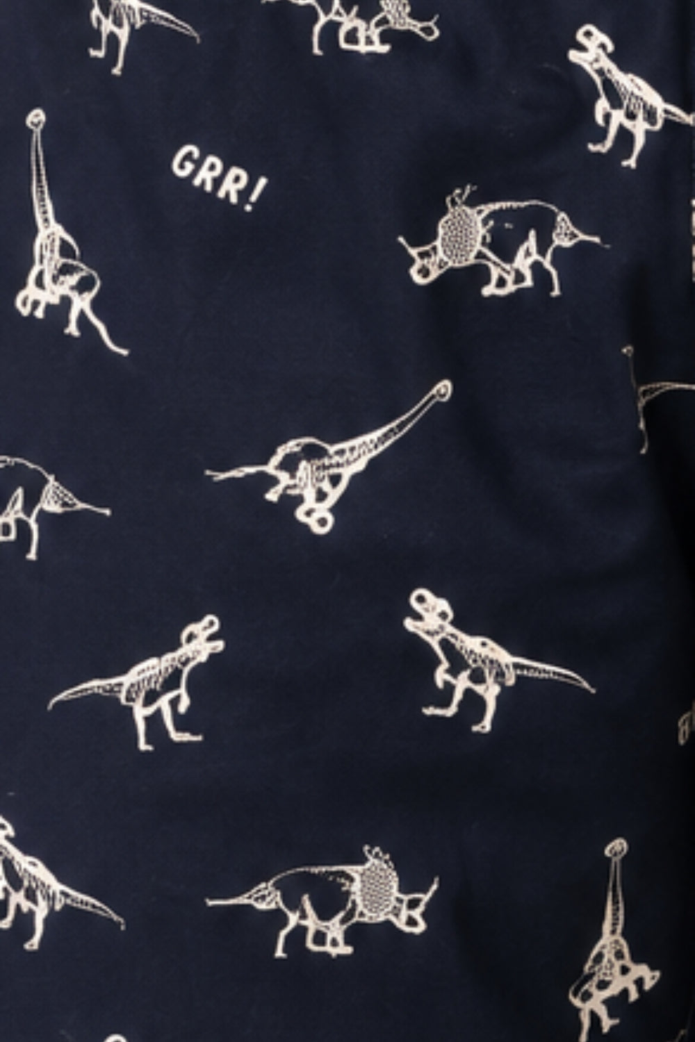 Mens Navy Dinosaur Print Boxer - Image 8
