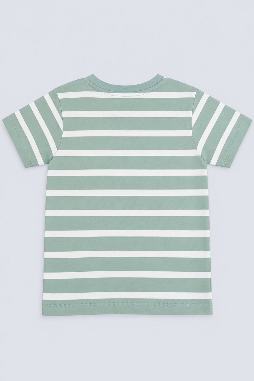 Boys Regular Fit Green Striped T-Shirt - Image 3