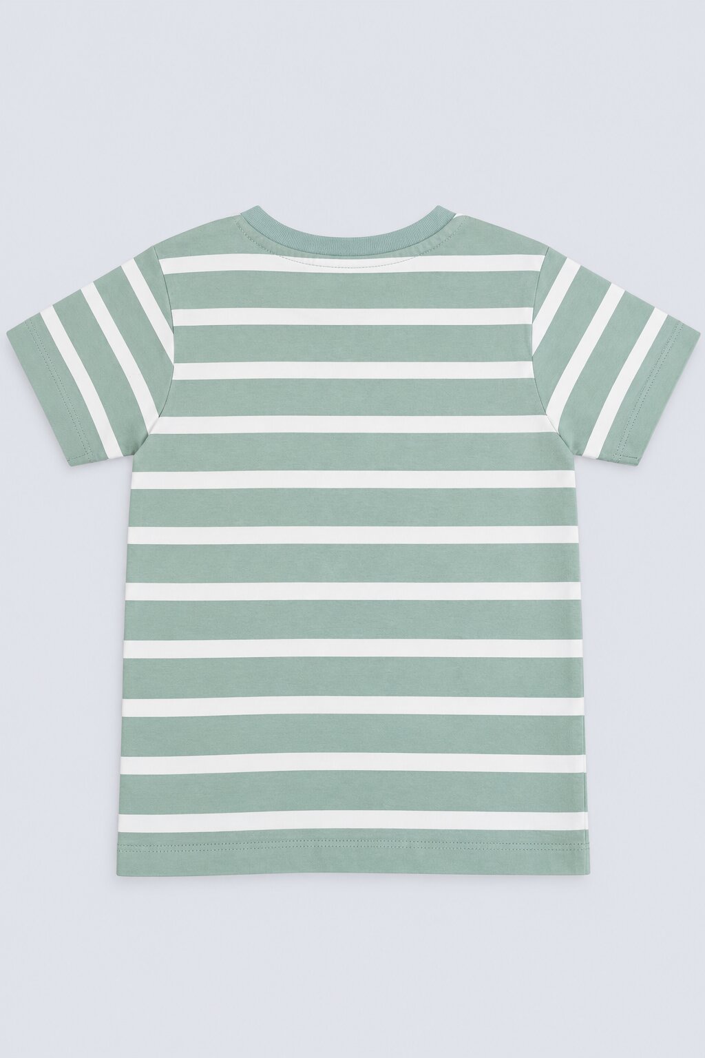 Boys Regular Fit Green Striped T-Shirt - Image 3