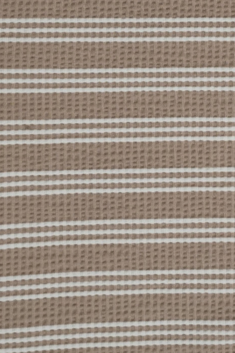 Womens Regular Fit Beige Striped Crop Top - Image 8