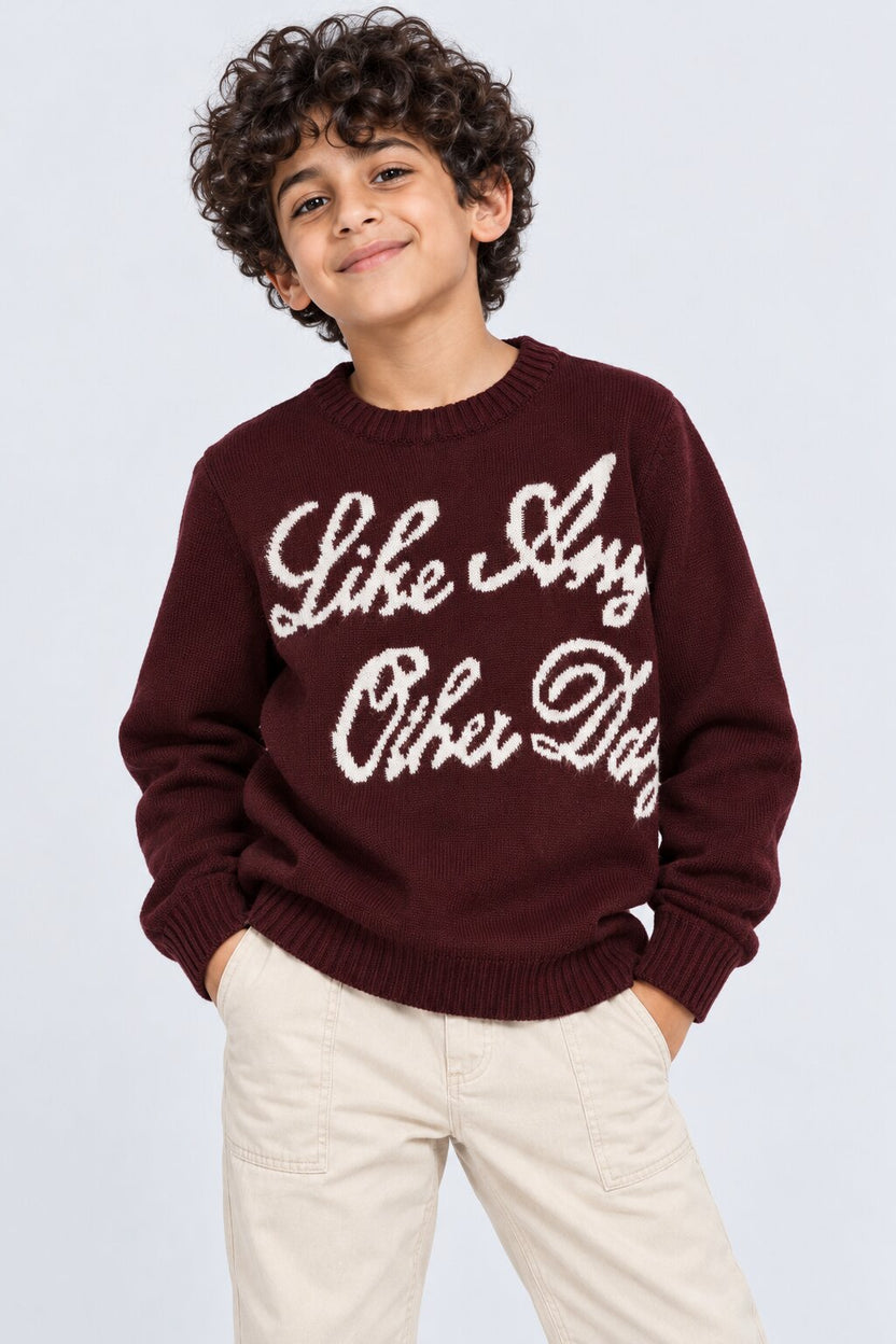 Tweens Boys Wine Cotton Regular Fit Sweater - Image 1